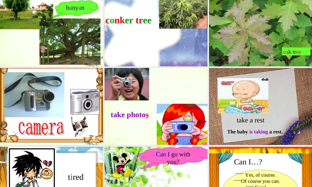 五年级英语上册 Module 3 Unit 7(2)课件 广州版