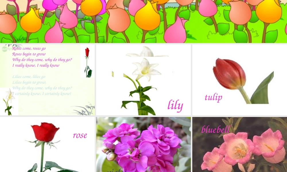 五年级英语上册 Module 3 Unit 7(3)课件 广州版