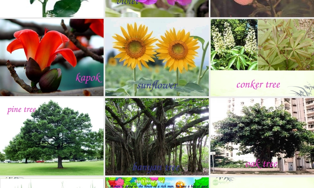 五年级英语上册 Module 3 Unit 7(3)课件 广州版