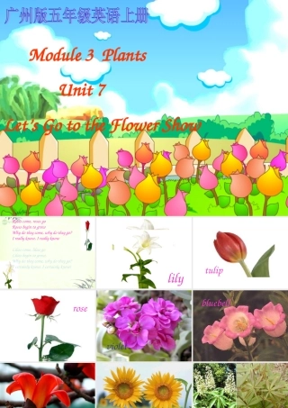 五年级英语上册 Module 3 Unit 7(3)课件 广州版