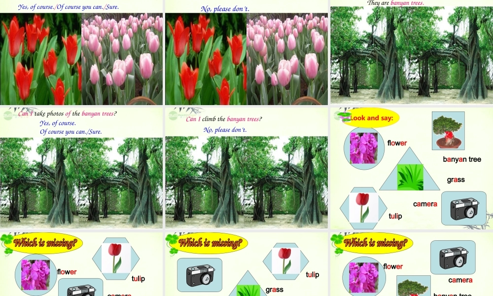 五年级英语上册 Module 3 Unit 7(7)课件 广州版