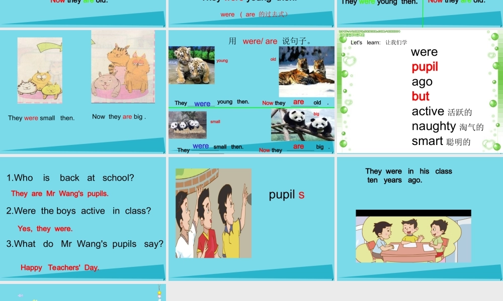 五年级英语上册 Unit 1 Lesson 3 Were they active in class课件 鲁科版-鲁科版小学五年级上册英语课件