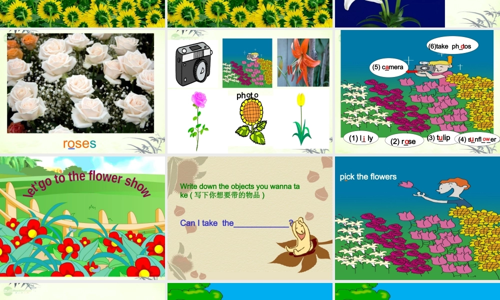 五年级英语上册 Module 3 Unit 7(8)课件 广州版