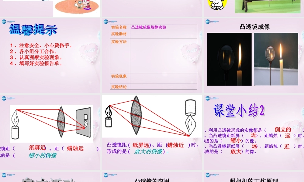 五年级科学下册《凸透镜》课件1 青岛版