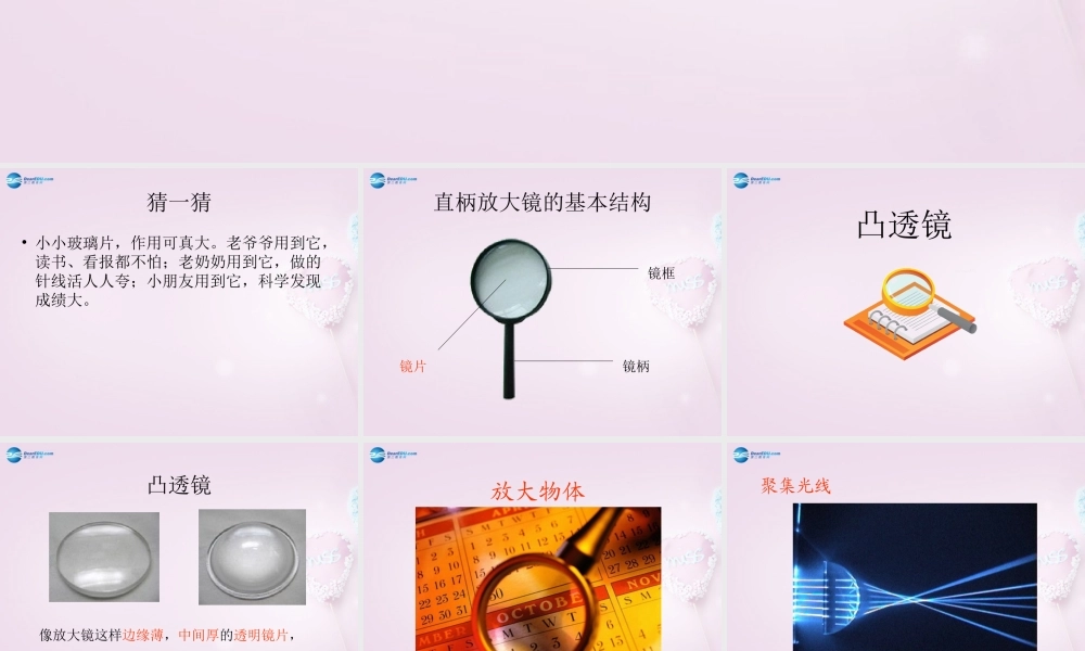 五年级科学下册《凸透镜》课件3 青岛版