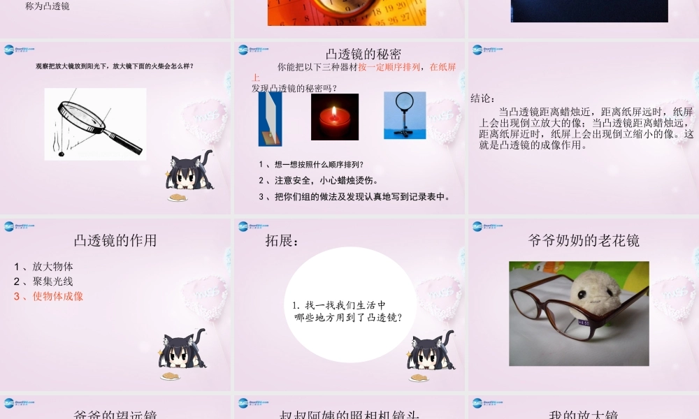 五年级科学下册《凸透镜》课件3 青岛版