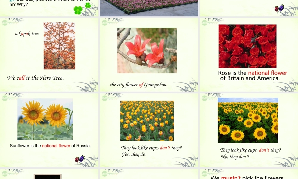 五年级英语上册 Module 3 Unit 8( dialogue)课件 广州版