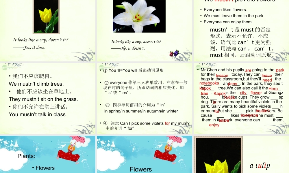 五年级英语上册 Module 3 Unit 8( dialogue)课件 广州版