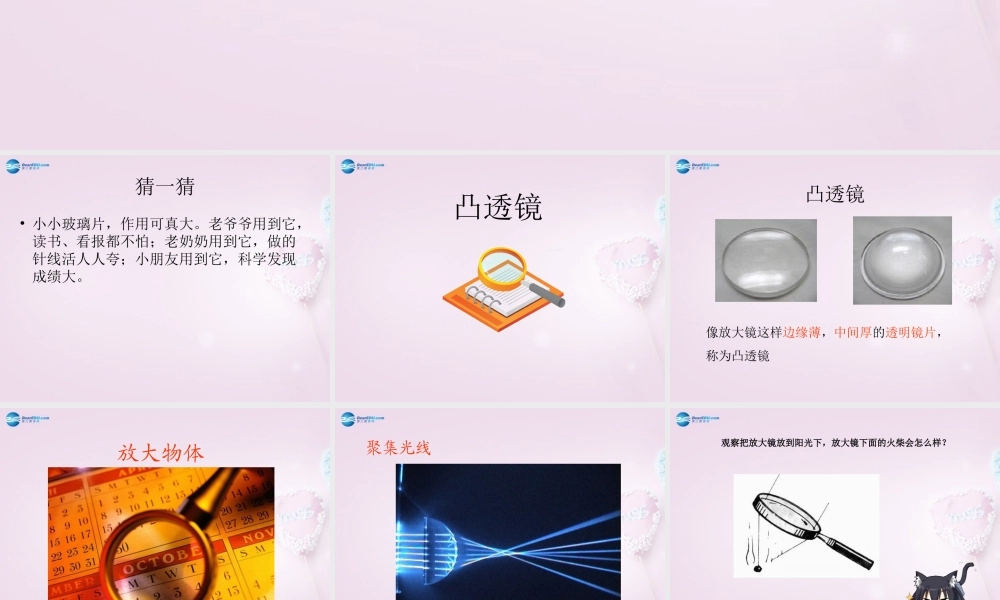 五年级科学下册《凸透镜》课件4 青岛版
