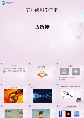 五年级科学下册《凸透镜》课件4 青岛版