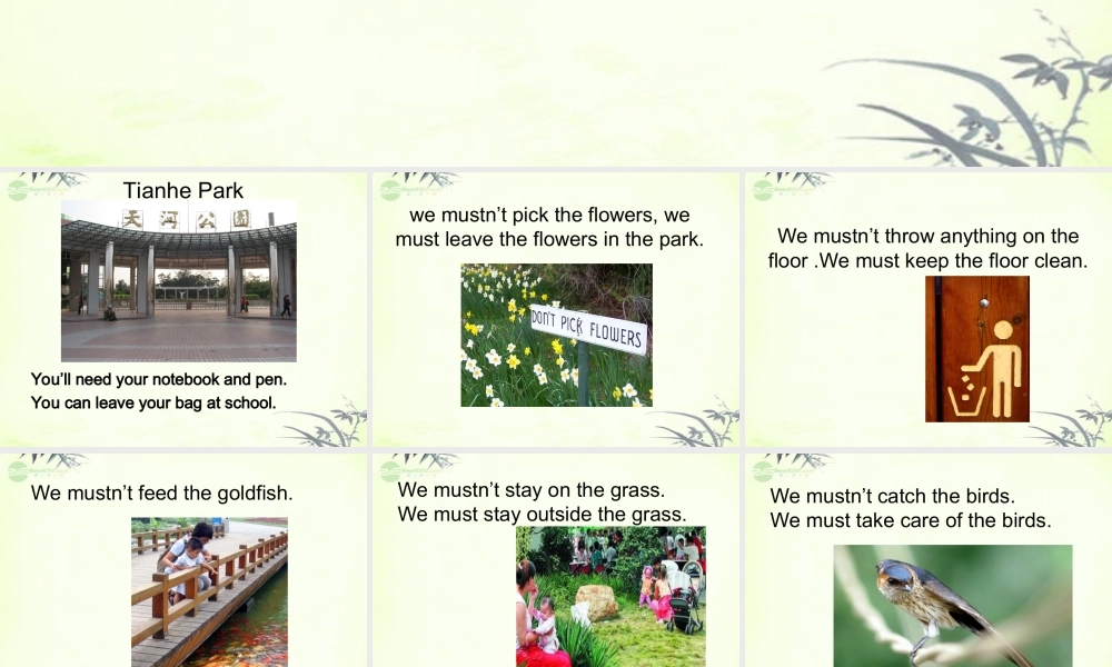 五年级英语上册 Module 3 Unit 8(5)课件 广州版