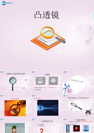 五年级科学下册《凸透镜》课件5 青岛版
