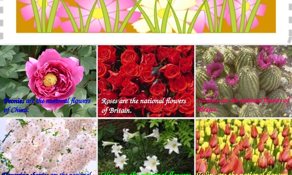 五年级英语上册 Module 3 Unit 9课件 广州版