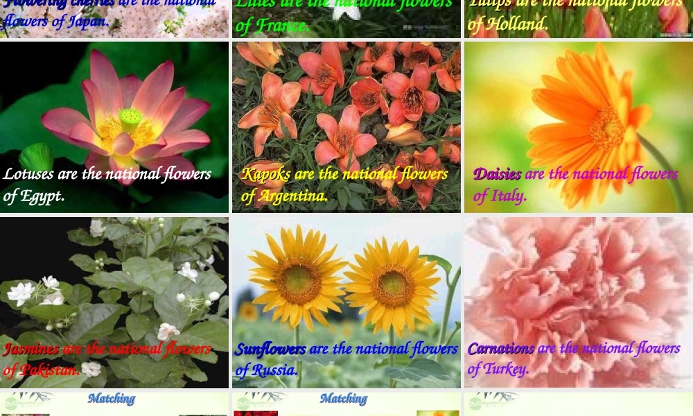 五年级英语上册 Module 3 Unit 9课件 广州版