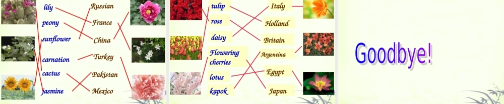 五年级英语上册 Module 3 Unit 9课件 广州版
