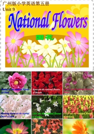 五年级英语上册 Module 3 Unit 9课件 广州版