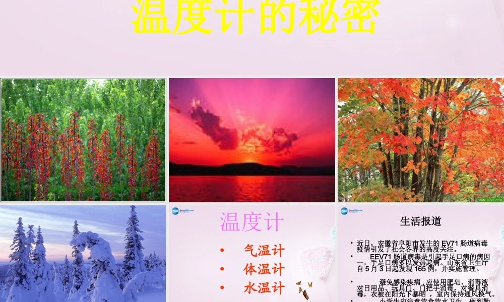 五年级科学下册《温度计的秘密》课件5 青岛版