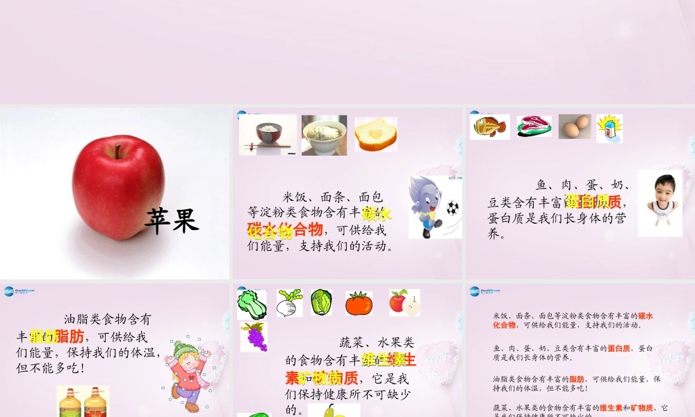 五年级科学下册《我们吃什么》课件2 青岛版