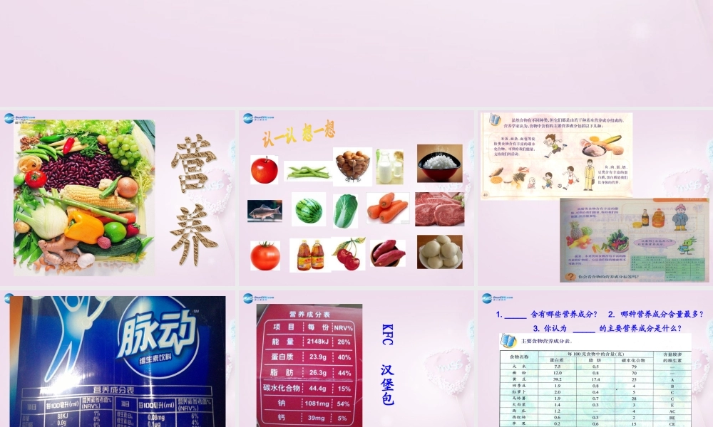 五年级科学下册《我们吃什么》课件4 青岛版