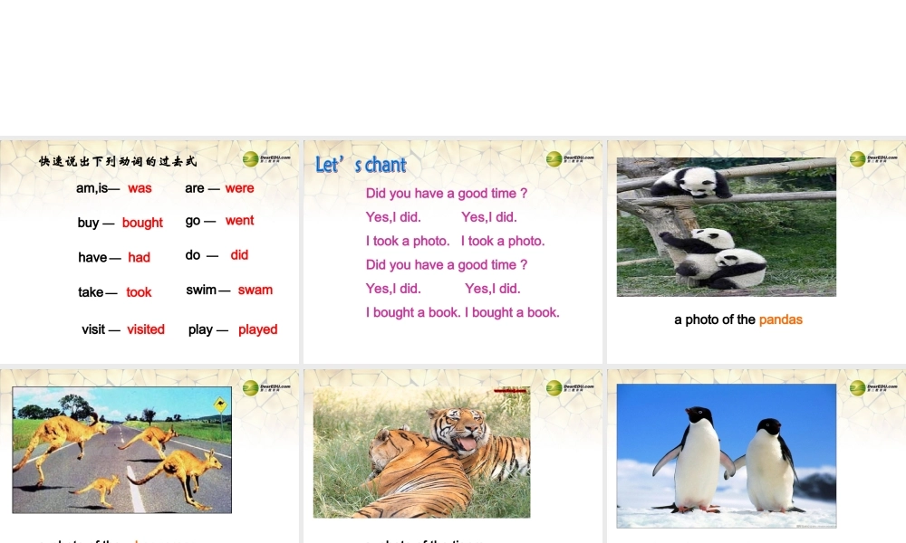 五年级英语上册 Unit 3 A visit to the zoo Lesson 6课件 闽教版