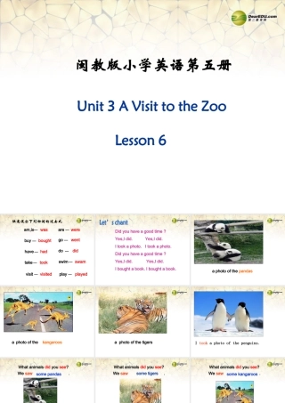 五年级英语上册 Unit 3 A visit to the zoo Lesson 6课件 闽教版