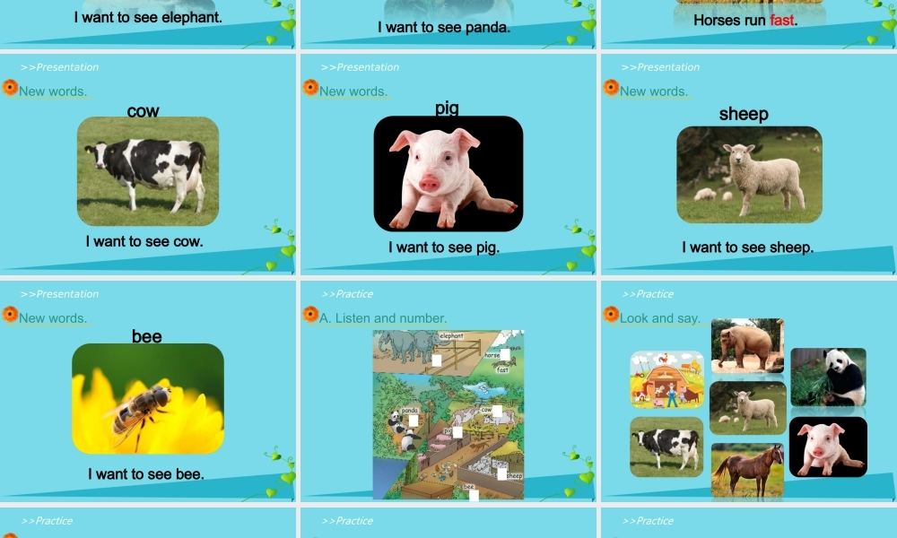 五年级英语上册 Unit 3 Animals（Lesson 1）课件 人教新起点-人教新起点小学五年级上册英语课件