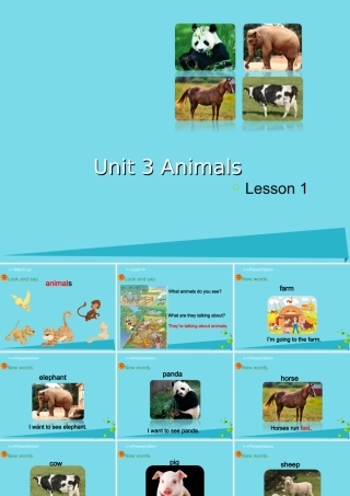 五年级英语上册 Unit 3 Animals（Lesson 1）课件 人教新起点-人教新起点小学五年级上册英语课件