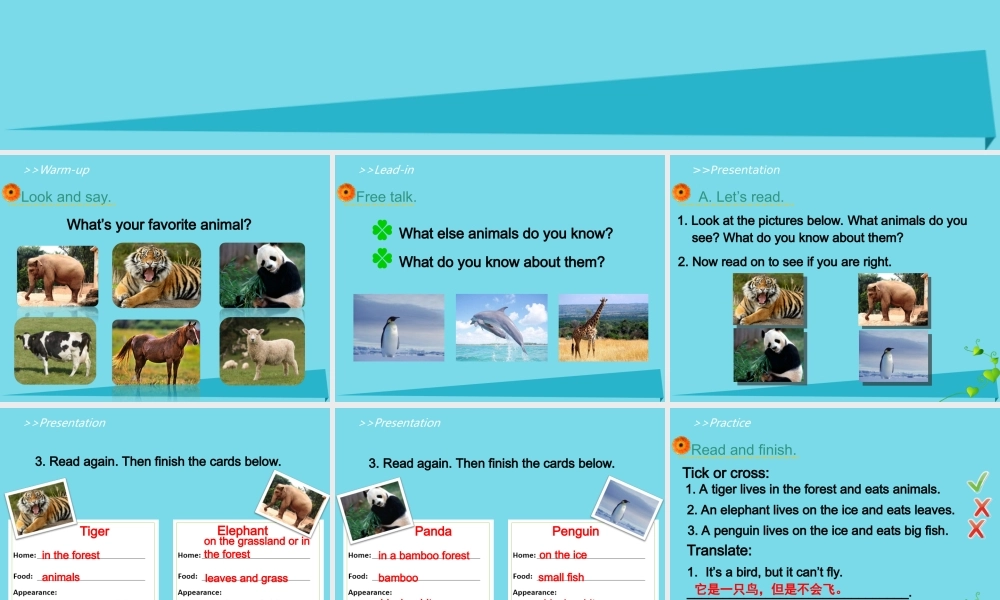 五年级英语上册 Unit 3 Animals（Lesson 3）课件 人教新起点-人教新起点小学五年级上册英语课件