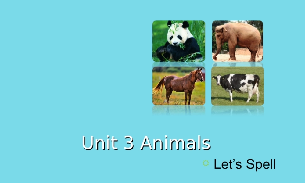 五年级英语上册 Unit 3 Animals（Let’s Spell）课件 人教新起点-人教新起点小学五年级上册英语课件