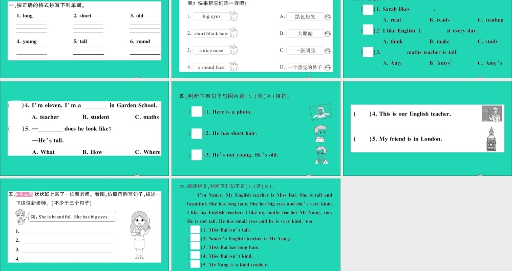 五年级英语上册 Unit 1 What does she look like第二课时作业课件 湘少版（三起）-湘少版小学五年级上册英语课件