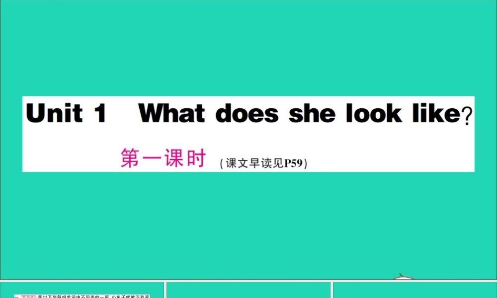 五年级英语上册 Unit 1 What does she look like第一课时作业课件 湘少版（三起）-湘少版小学五年级上册英语课件