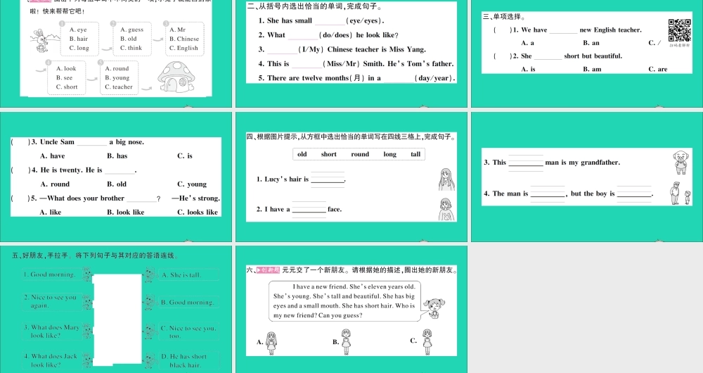 五年级英语上册 Unit 1 What does she look like第一课时作业课件 湘少版（三起）-湘少版小学五年级上册英语课件