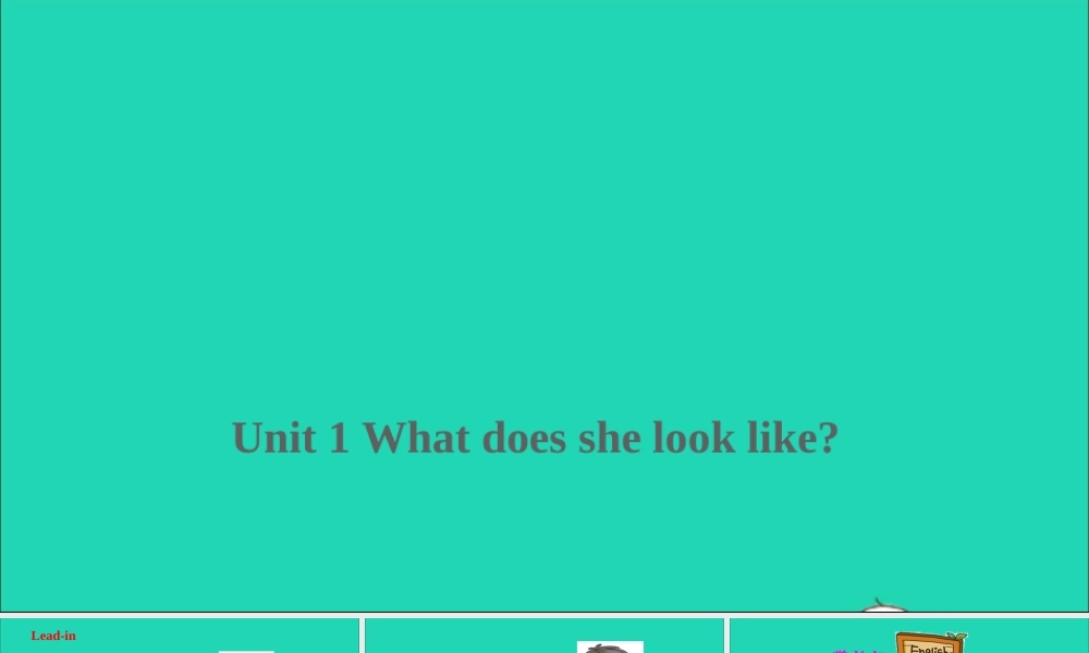 五年级英语上册 Unit 1 What does she look like课件+素材 湘少版