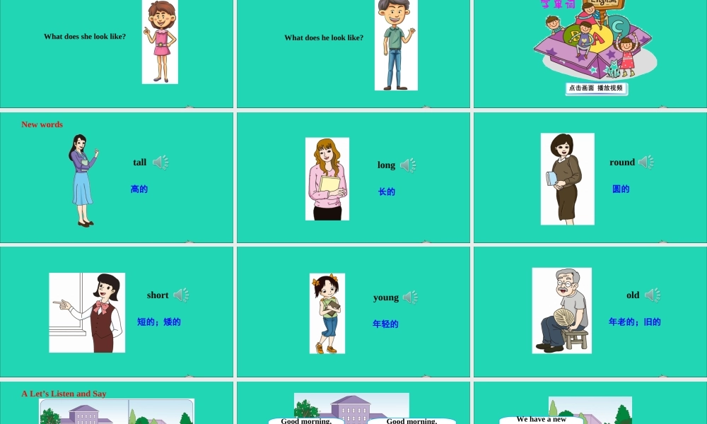 五年级英语上册 Unit 1 What does she look like课件+素材 湘少版