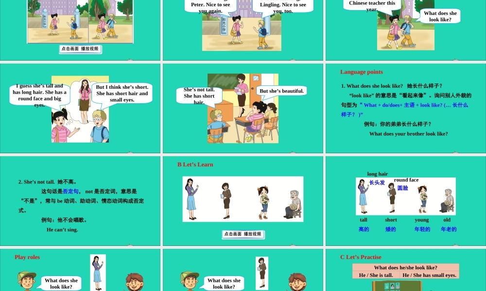 五年级英语上册 Unit 1 What does she look like课件+素材 湘少版