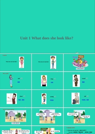 五年级英语上册 Unit 1 What does she look like课件+素材 湘少版