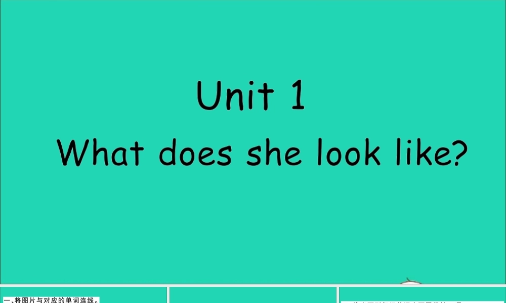 五年级英语上册 Unit 1 What does she look like作业课件 湘少版-湘少版小学五年级上册英语课件