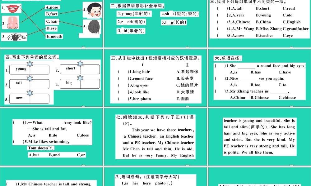 五年级英语上册 Unit 1 What does she look like作业课件 湘少版-湘少版小学五年级上册英语课件