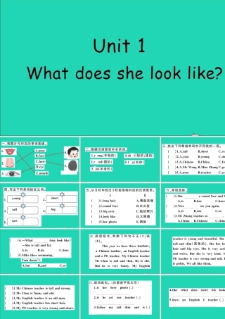 五年级英语上册 Unit 1 What does she look like作业课件 湘少版-湘少版小学五年级上册英语课件
