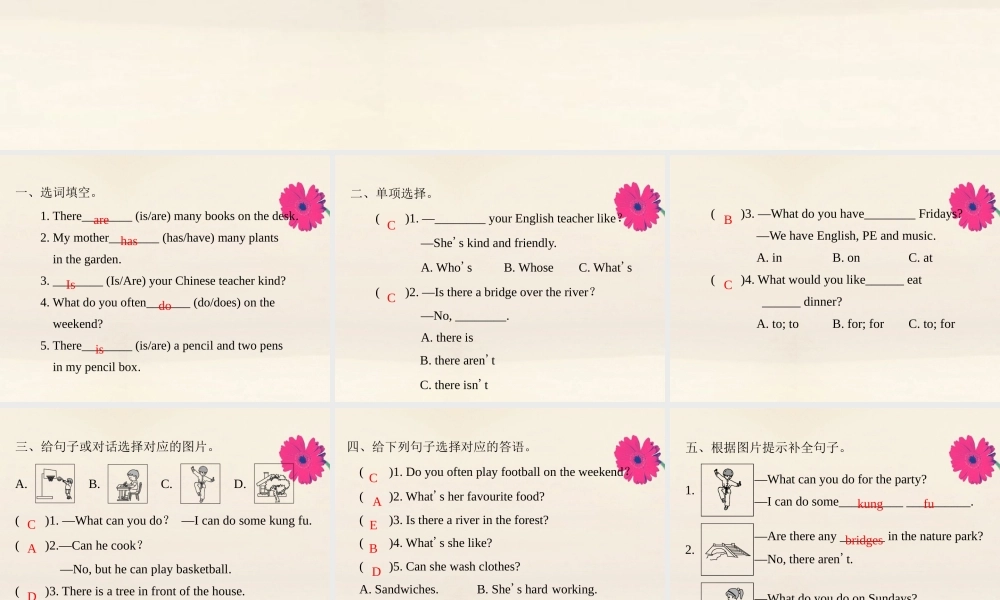 五年级英语上册 句子与交际专项复习习题课件 人教PEP版-人教PEP小学五年级上册英语课件