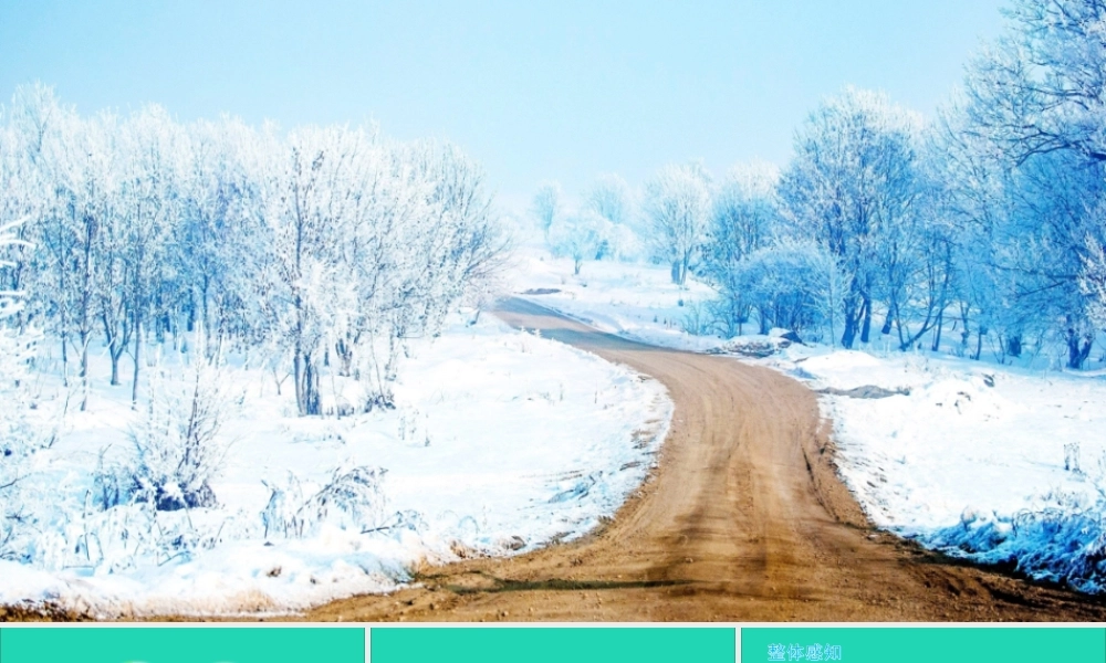 五年级语文上册 第七单元 22 四季之美课件