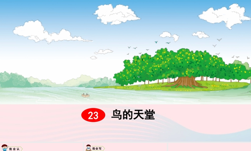 五年级语文上册 第七单元 23 鸟的天堂教学课件 新人教版-新人教版小学五年级上册语文课件