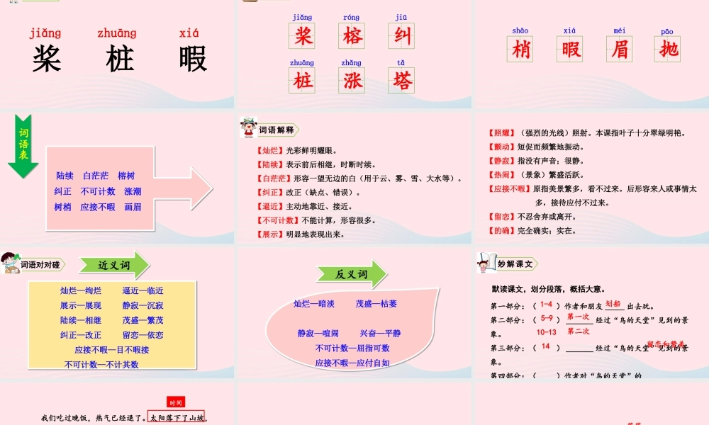 五年级语文上册 第七单元 23 鸟的天堂教学课件 新人教版-新人教版小学五年级上册语文课件