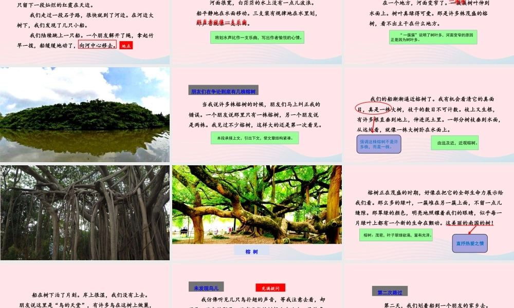 五年级语文上册 第七单元 23 鸟的天堂教学课件 新人教版-新人教版小学五年级上册语文课件