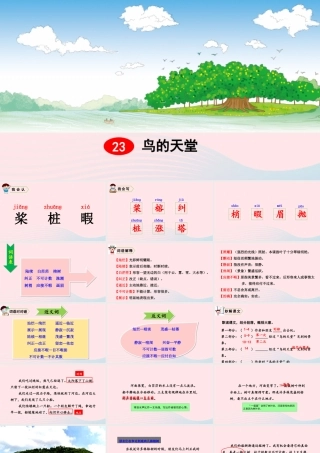 五年级语文上册 第七单元 23 鸟的天堂教学课件 新人教版-新人教版小学五年级上册语文课件