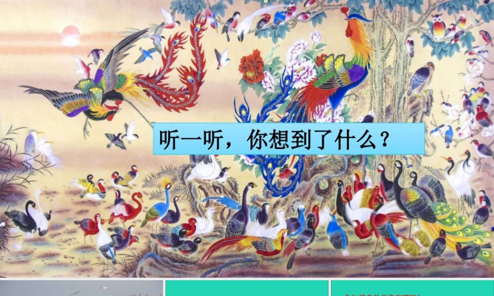 五年级语文上册 第七单元 23 鸟的天堂课件