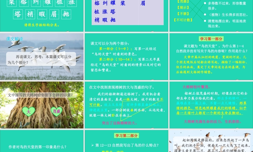 五年级语文上册 第七单元 23 鸟的天堂课件