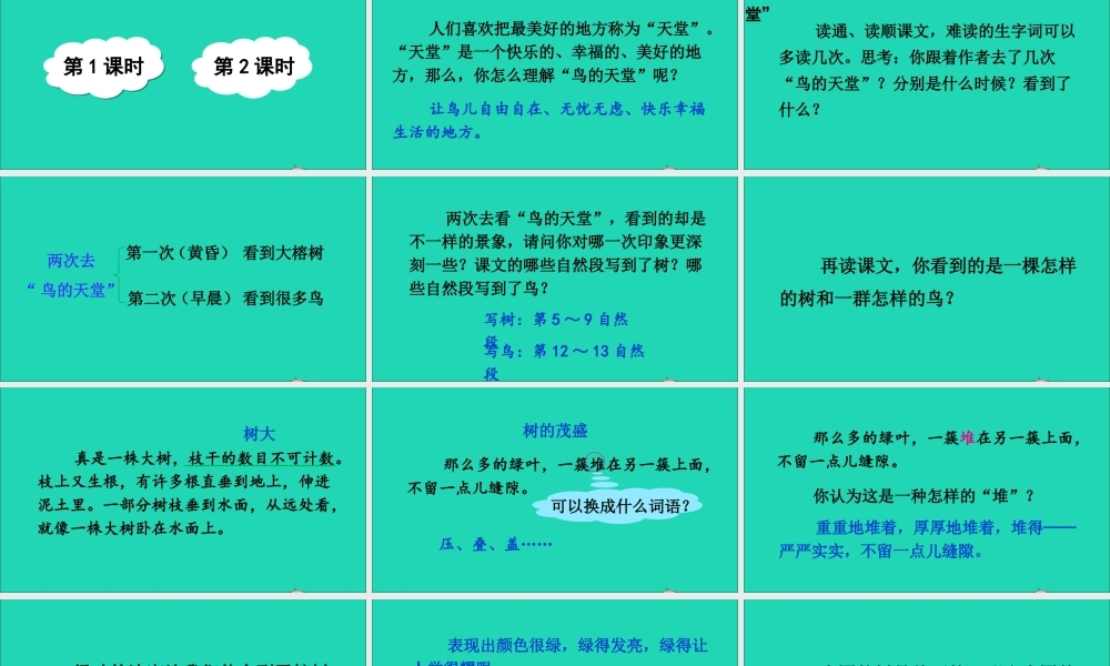 五年级语文上册 第七单元 23《鸟的天堂》课件