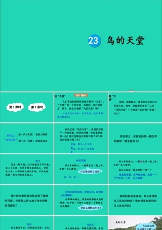 五年级语文上册 第七单元 23《鸟的天堂》课件