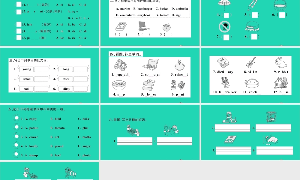 五年级英语上册 专项提升练（词汇）作业课件 湘少版（三起）-湘少版小学五年级上册英语课件